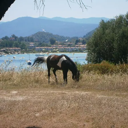 Apartament Barbagiannis House