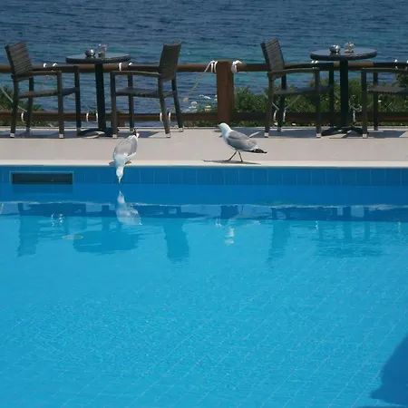 Barbagiannis House Apartmán